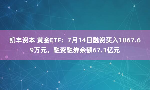 凯丰资本 黄金ETF：7月14日融资买入1867.69万元，融资融券余额67.1亿元