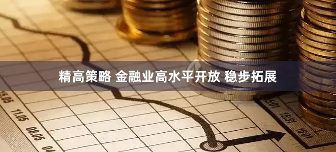 精高策略 金融业高水平开放 稳步拓展
