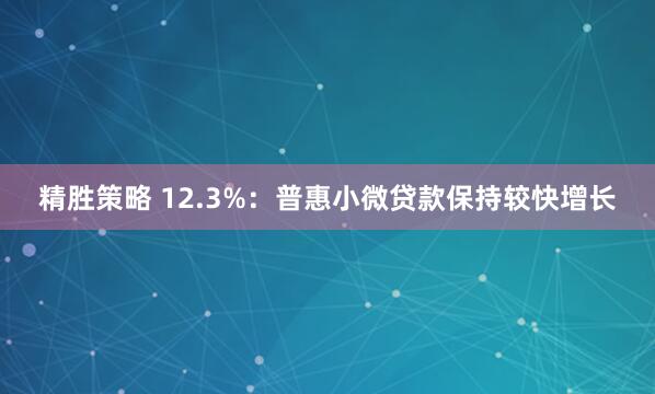 精胜策略 12.3%：普惠小微贷款保持较快增长