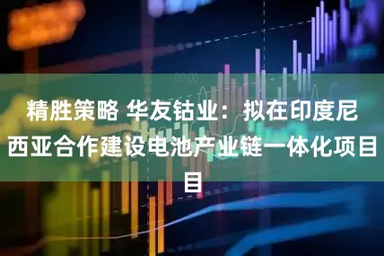 精胜策略 华友钴业：拟在印度尼西亚合作建设电池产业链一体化项目